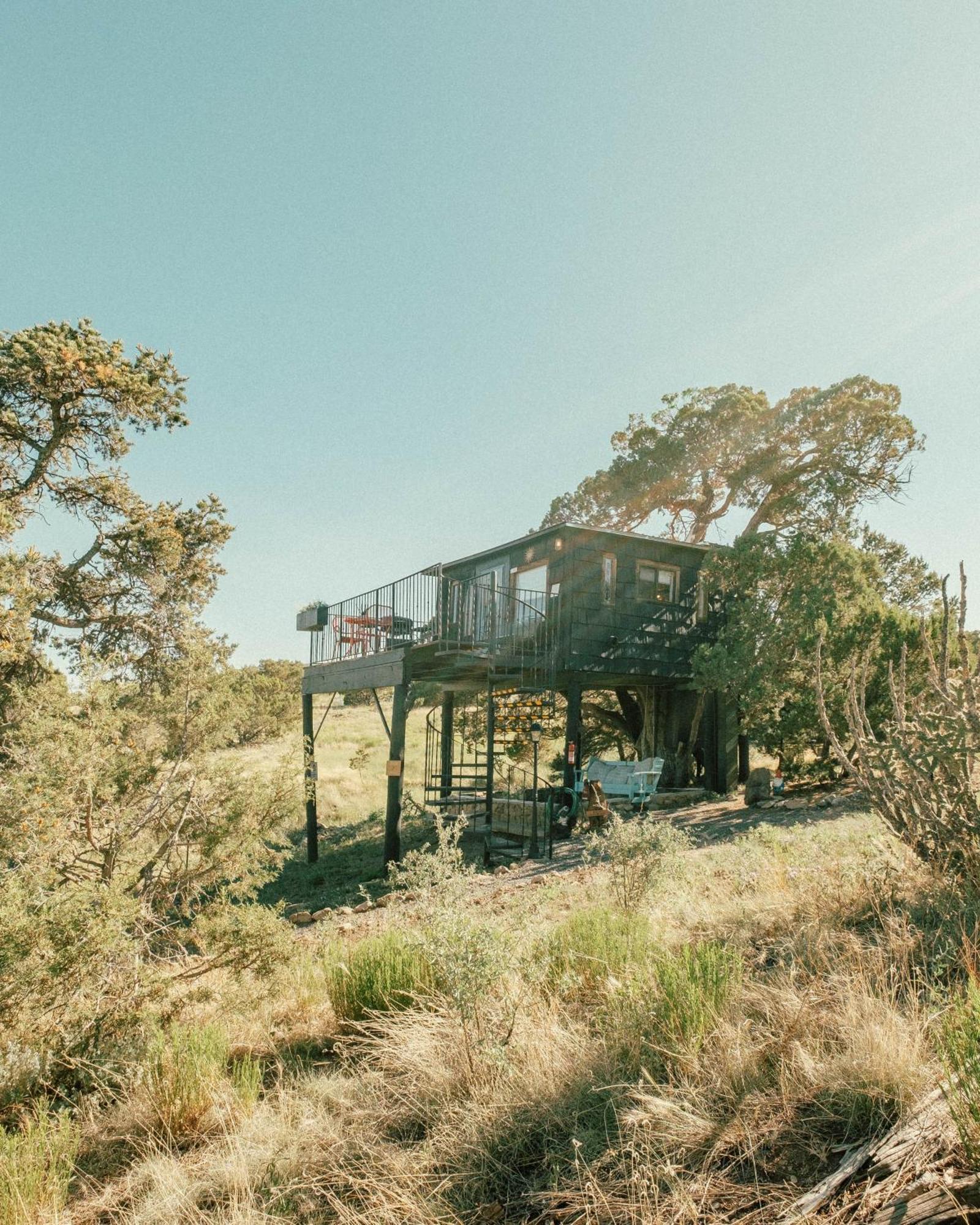 Vila Ashley'S Treehouse At El Mistico Ranch Nogal Exteriér fotografie